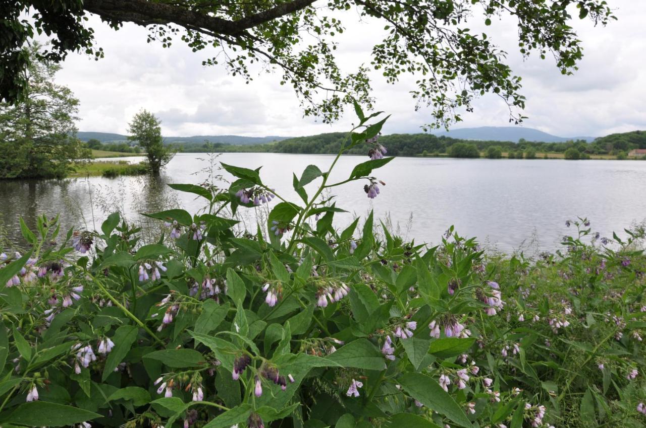 Canal Du Nivernais Gites Le Champ Radis Marigny-sur-Yonne Exteriör bild